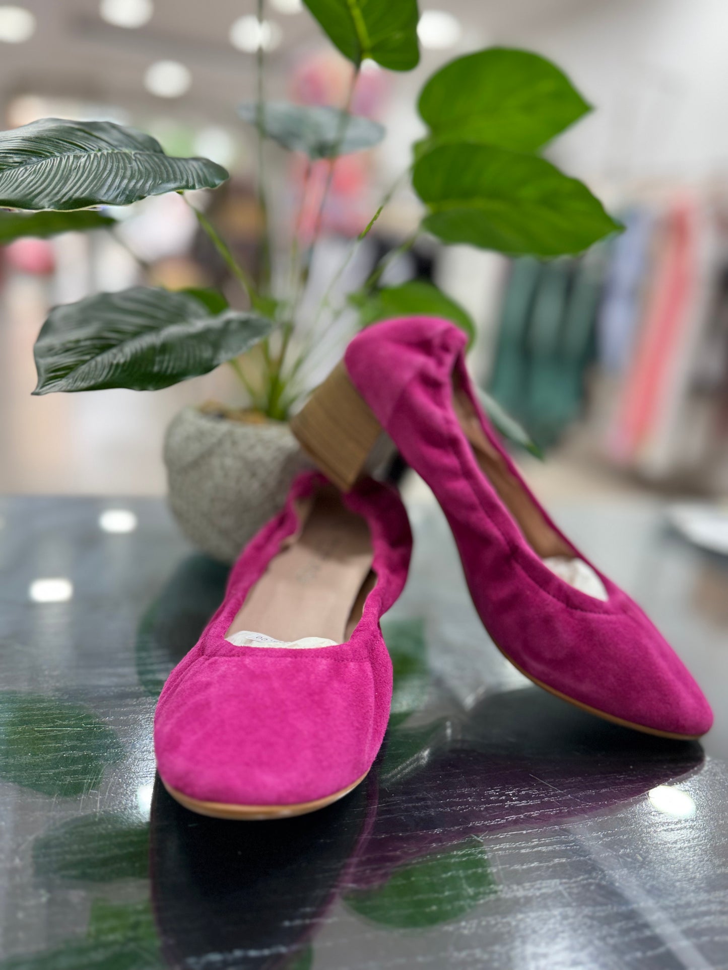 Zapatillas de Tacón